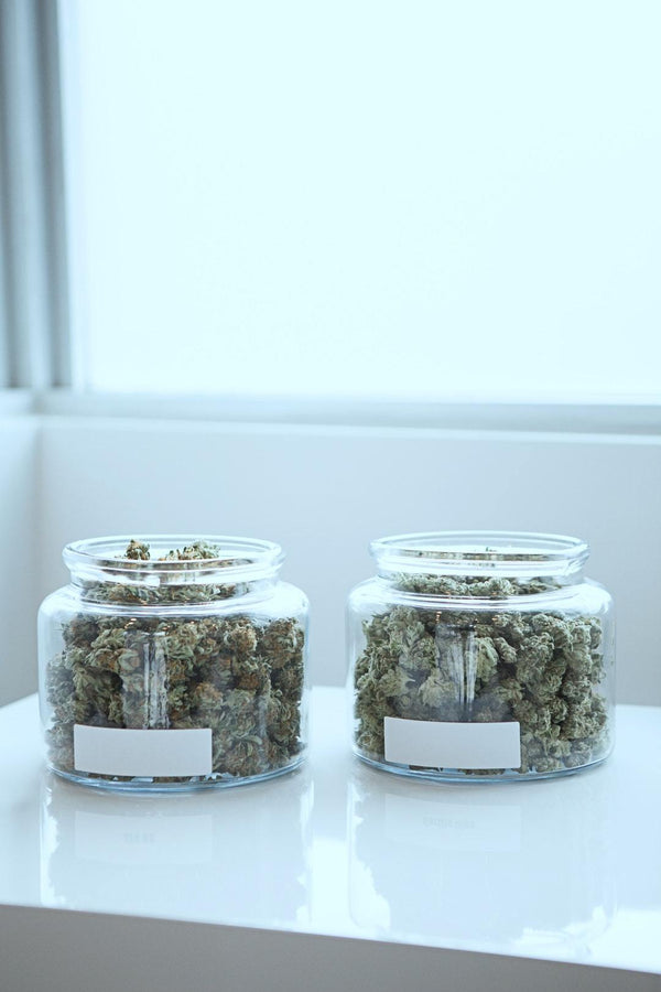 CBD Flower vs. Marijuana: What's the Difference?