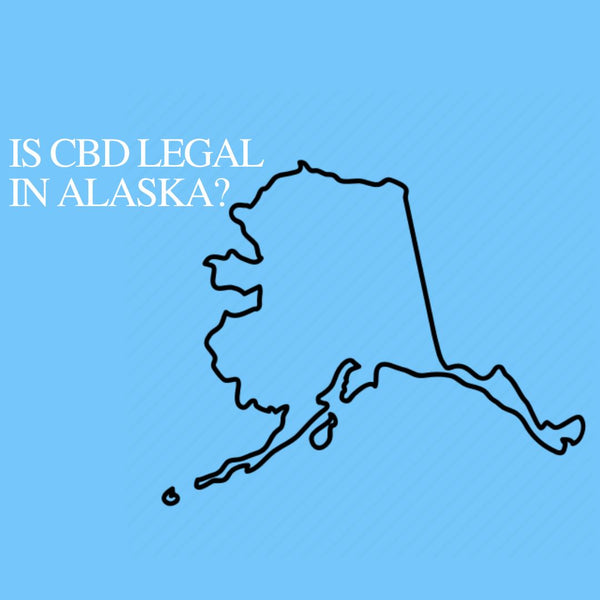 Is CBD Oil Legal in Alaska: Where to buy CBD Near Me?