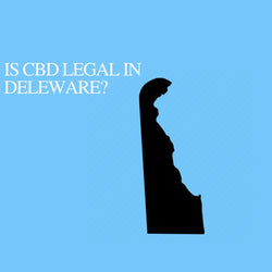 Is CBD Oil Legal in Delaware: Where to buy CBD Near Me?
