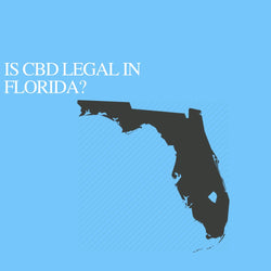 Is CBD Oil Legal in Florida: Where to buy CBD Near Me?