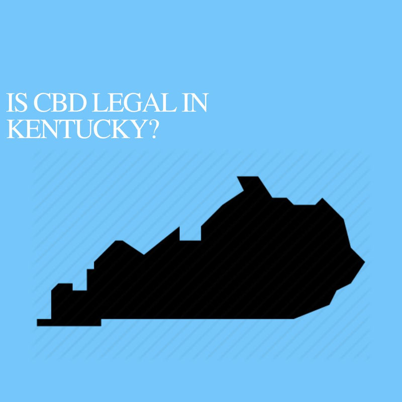 Is CBD Oil Legal in Kentucky: Where to buy CBD Near Me?