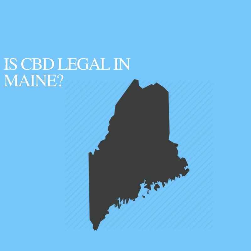 Is CBD Oil Legal in Maine: Where to buy CBD Near Me?