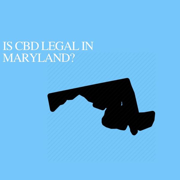 Is CBD Oil Legal in Maryland: Where to buy CBD Near Me?