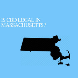Is CBD Oil Legal in Massachusetts: Where to buy CBD Near Me?