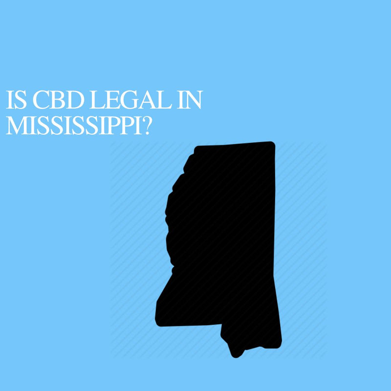 Is CBD Oil Legal in Mississippi: Where to buy CBD Near Me?