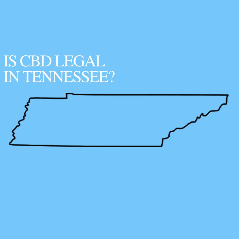 Is CBD Oil Legal in Tennessee : Where to buy CBD Near Me?